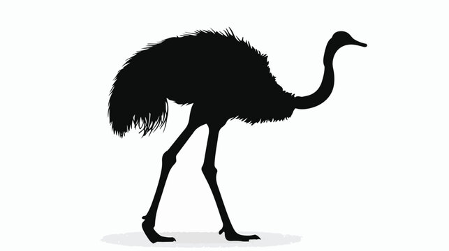 Silhouette of a little ostrich walking and tall Flat