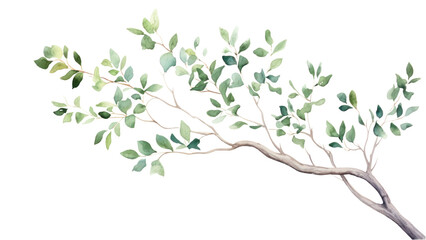 PNG Tree drawing branch sketch
