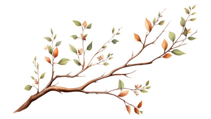 PNG Branch plant tree illustrated