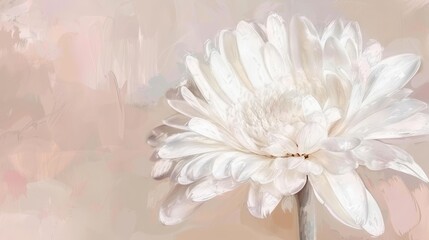   A white flower, focused closely, against a background of pink and beige Behind it, a soft, blurred bloom