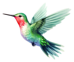 Fototapeta premium PNG Hummingbird animal flying white background