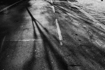 shadows in street