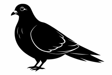 pigeon black silhouette vector 