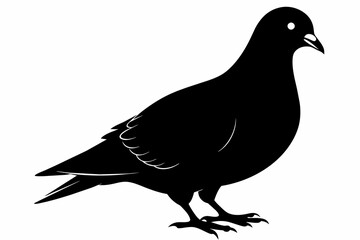 pigeon black silhouette vector 