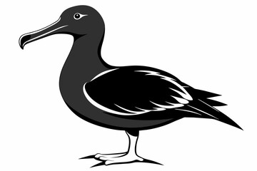 Albatross silhouette  on white background   