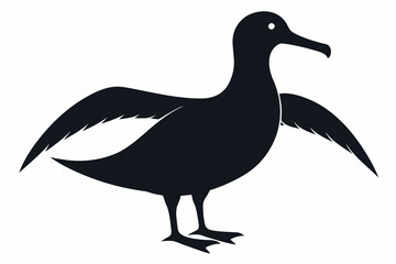 Albatross silhouette  on white background   