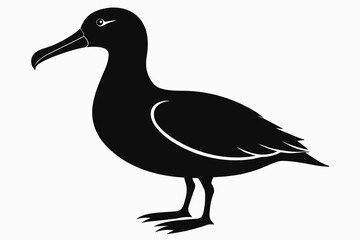 Albatross silhouette  on white background   