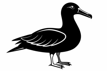 Albatross silhouette  on white background   
