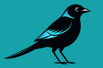 Broadbill silhouette vector style