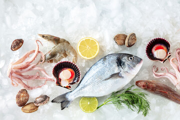Seafood. Fresh fish and sea food on ice, shot from the top with copy space. A background for a...