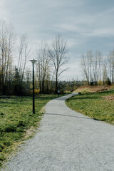 peaceful atmosphere garden with house, pine tree