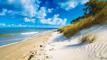 Foto op Plexiglas Beautiful sandy beach on Hel Peninsula Baltic sea Pola © Anas