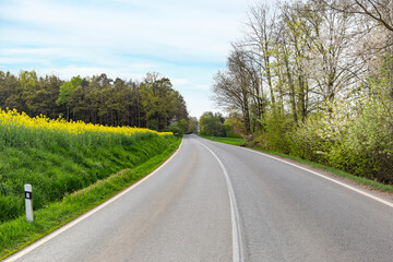 Asphalt road and floral field of yellow flowers.