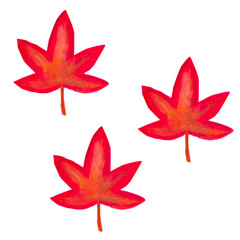 three bright red maple autumn leaves watercolor illustration set background for textile tableware design