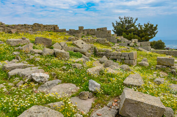 yellow flowers in spring on Pergamon Acropolis ruins (Bergama, Izmir province, Turkiye)