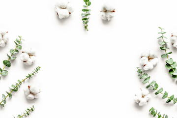 Flowers border with green eucalyptus branches and dry cotton flowers on white background top view...
