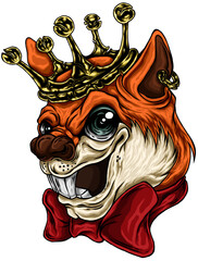 Colorful hand drawn illustrations Squirrel head on a transparent background