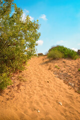 Fototapeta na wymiar Qalking through the beautiful sand dunes of Side, Turkey