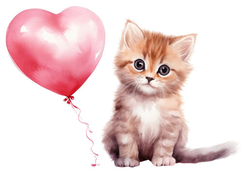 PNG Balloon mammal animal kitten.