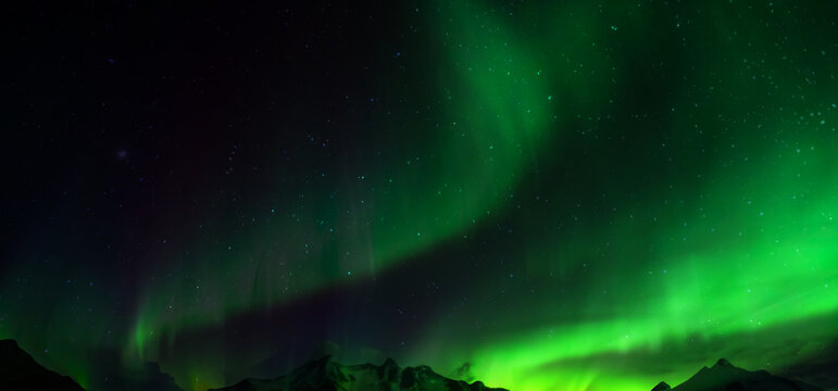Aurora australis or Aurora borealis or Green northern lights sky above mountains. Night sky with polar lights. Night winter landscape with southern lights aurora against Real Natural black background.
