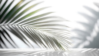 Fototapeta premium Shadow of a Palm Leaf on a Wall. Generative AI