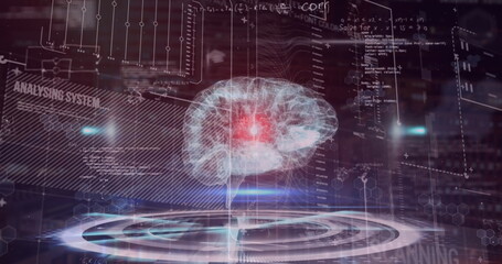 Fototapeta premium Image of data processing over brain