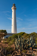 the white lighthouse of San Vito lo Capo.