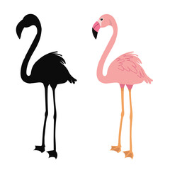 pink flamingo with silhouette on white background vector - 785302479