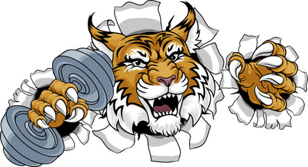 A wildcat cougar lynx lion weight lifting gym animal sports mascot holding a dumbbell weight in his claw