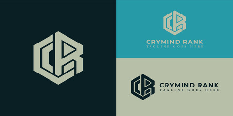 Abstract initial hexagon letter CR or RC logo in gold color isolated on multiple background colors. The logo is suitable for business and consulting company logo icons to design inspiration templates.