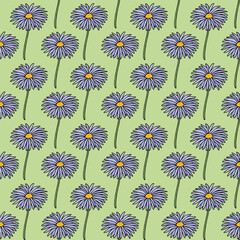 Seamless pattern with fantastic aster dumosus on light green background. Vector image.