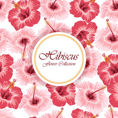 Seamless floral pattern of hibiscus. Closeup hand drawn floral pattern on a white background