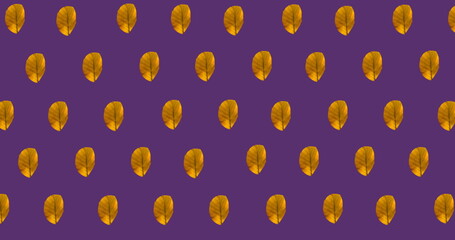 Fototapeta premium Image of multiple orange autumn leaves on purple background