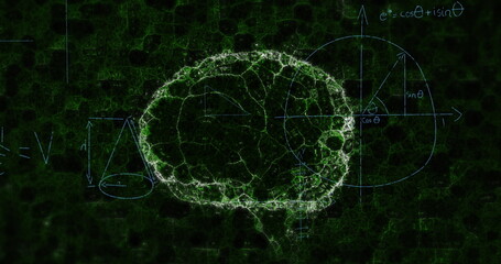 Image of mathematical equations over digital model of human brain on black background