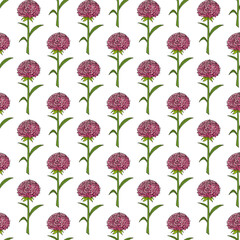 Seamless pattern with fantastic pink aster on white background. Vector image.