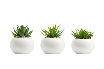 Serenity Trio: Three White Vases Adorned With Lush Plants. On a White or Clear Surface PNG Transparent Background.