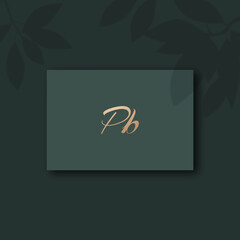 Pb logo design template