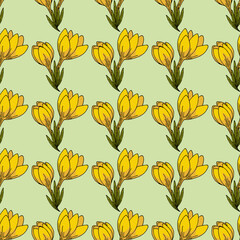 Seamless pattern with fantastic yellow crocuses on light green background. Vector image.