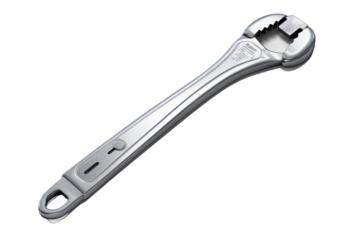 A Symphony of Wrens: Enchanting Harmonies in Natures Chorus. On a White or Clear Surface PNG Transparent Background.