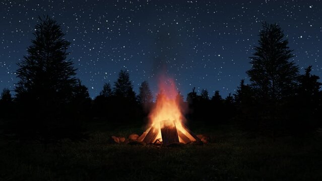loop of big bonfire in front of spruce trees and starry sky