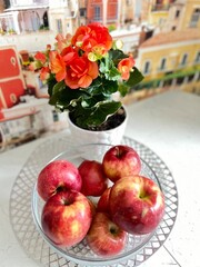 red apples on the kitchen table next to an orange blooming begonia flower. Floral background