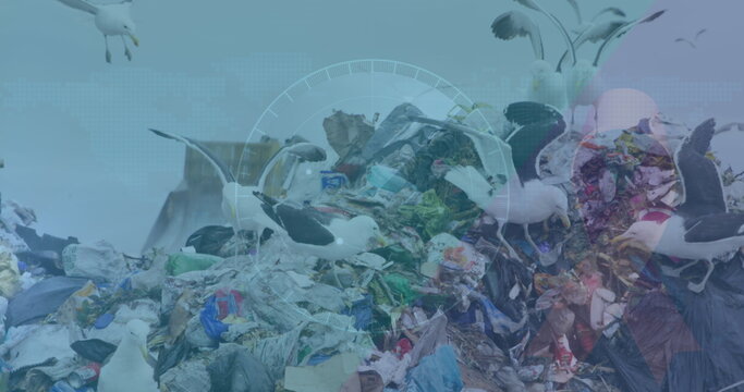 Image of data processing over rubbish dump - Powered by Adobe