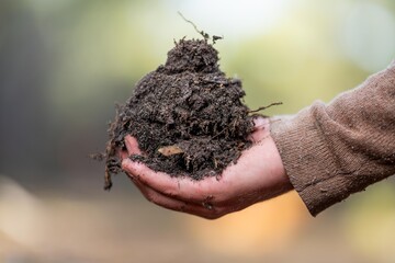 agronomist on a farm practicing agronomy holding soil, doing soil tests in her home laboratory....