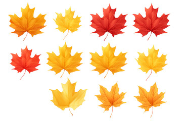 Kaleidoscope of Autumn: Variegated Leaves Dance on White Canvas. On a White or Clear Surface PNG Transparent Background.