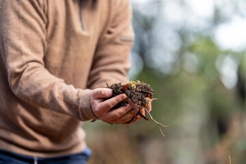 university student conducting research on forest health. farmer collecting soil samples in a test tube in a field. Agronomist checking soil carbon and plant health on a farm in australia