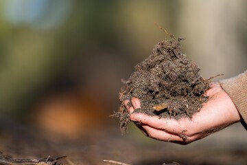 agronomist on a farm practicing agronomy holding soil, doing soil tests in her home laboratory....