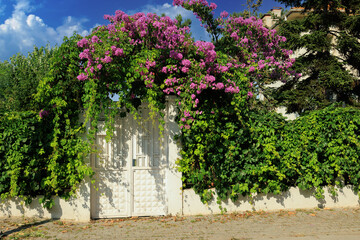Gates and wickets, iron bars and forged patterns on the doors. City views on the streets, public place in Turkey, on a summer sunny day
