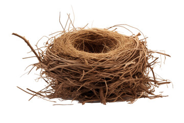 Whispers of Home: An Intimate Glimpse Into a Birds Nest. On a White or Clear Surface PNG Transparent Background.