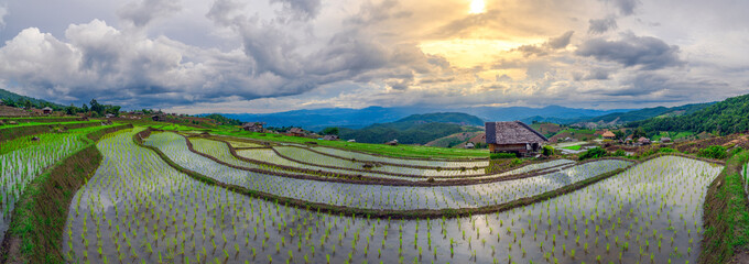 Landscape of terraced young green rice fields in cloudy day at sunset, Pa Pong Pieng, Mae chaem, Chiang mai