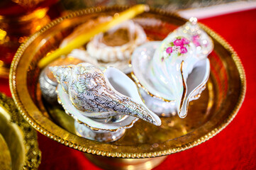 holy conch for pouring water on the conch in Thai wedding ceremony
